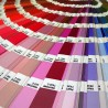 Tinta d'oficina COLORIS 4010 PANTONE per marcar sobre materials no absorbents.