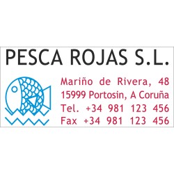 Trodat 5204 Professional 4.0, de 56 x 26 mm. marcada en MultiColor