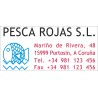 Trodat 5204 Professional 4.0, de 56 x 26 mm. marcada en MultiColor