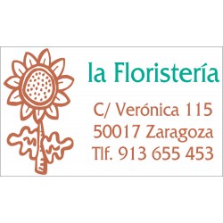 Trodat 5200 Professional 4.0, de 41 x 24 mm. Prova marcada amb MultiColor.