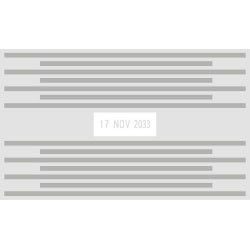 Datador Trodat 54120 Professional de 116 x 70 mm.