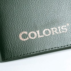 Tinta Coloris 8710-P. Dorada para superficies no absorbentes